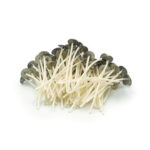 Knot powlekany 3x9 - 8 cm - 100 szt.