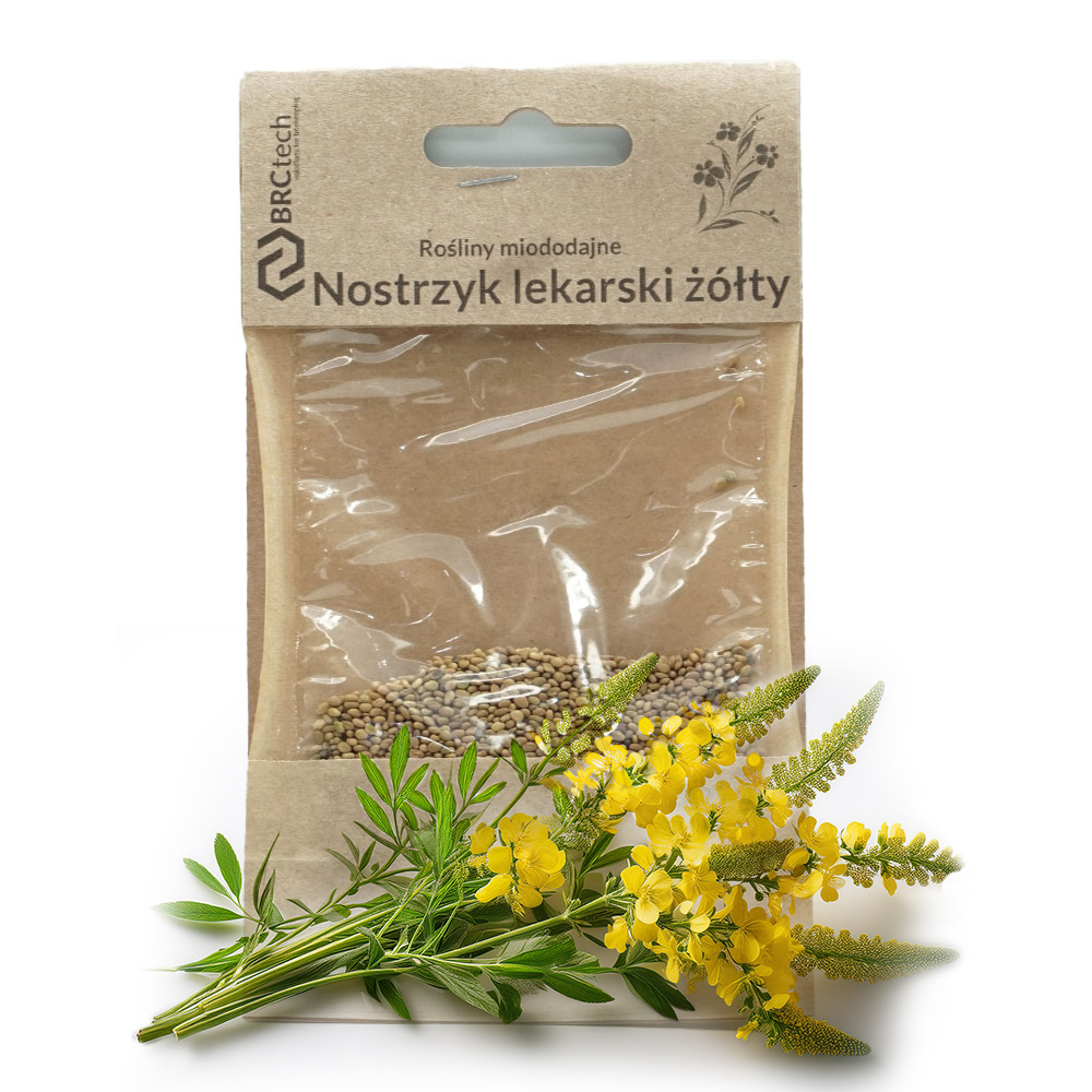 nostrzyk-lekarski-zolty-2 Nasiona - Nostrzyk lekarski żółty 10g - obrazek 1