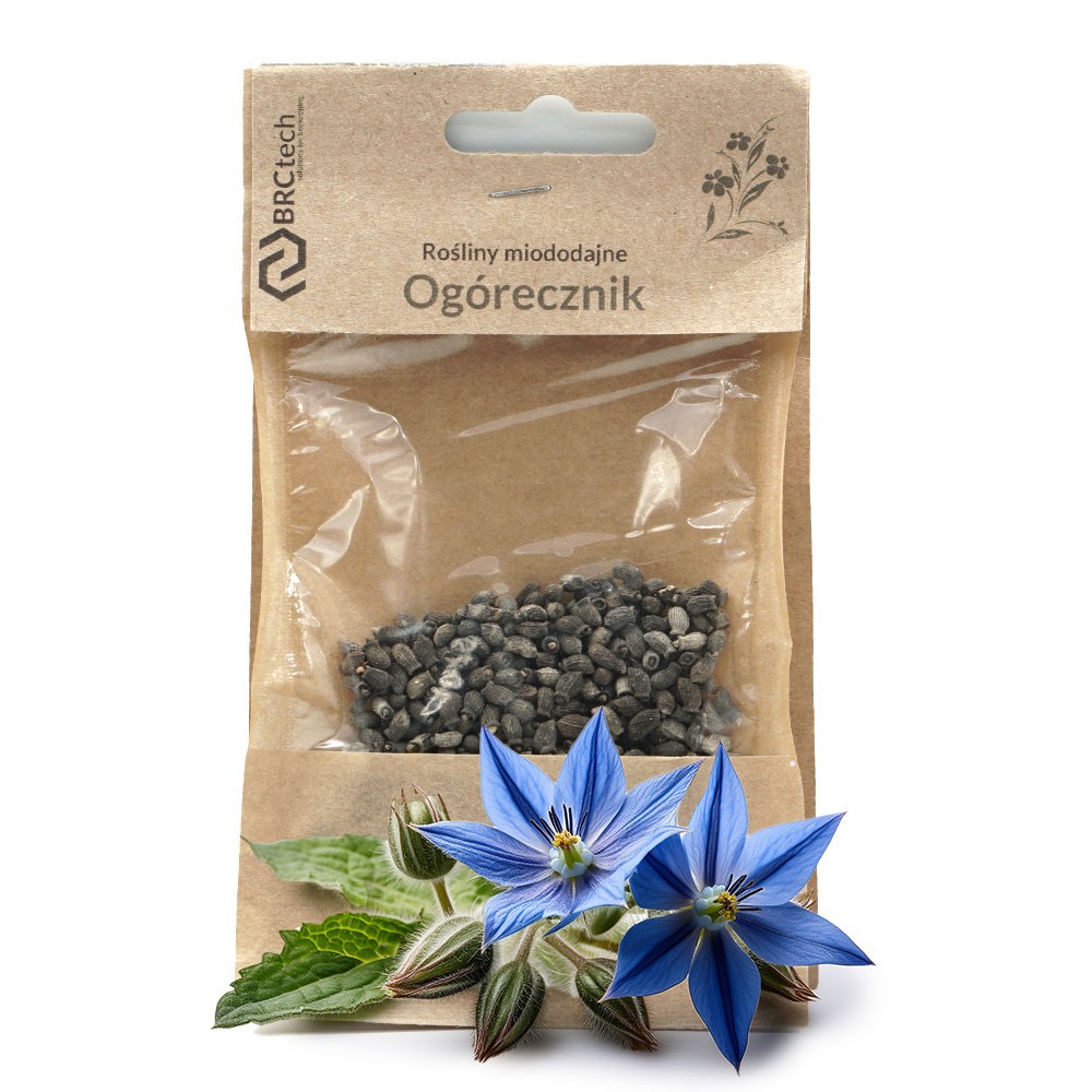 ogorecznik Nasiona - Ogórecznik 10g - obrazek 1